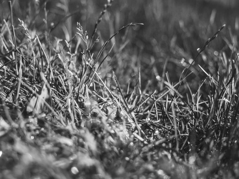 sudoku greater than screenshot 6